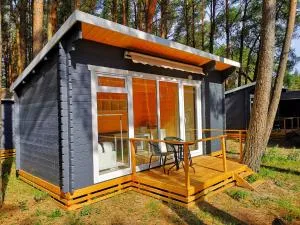 Ku kū - 斯文托伊