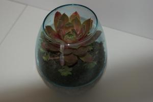 Apartament 88