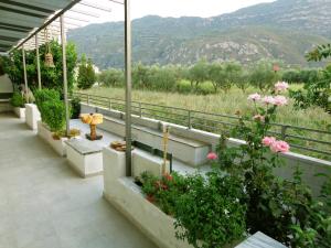 The Kitehouse Apartments Achaia Greece