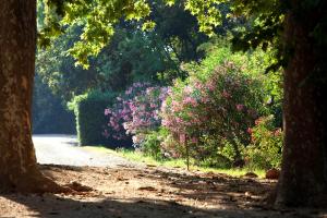 B&B / Chambres d'hotes Chateau de Saint Martin : photos des chambres