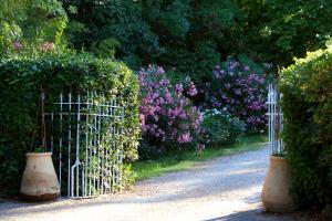 B&B / Chambres d'hotes Chateau de Saint Martin : photos des chambres