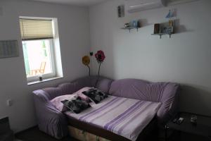 Apartment Karega