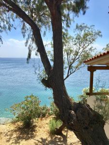 Standard Double Room with Sea View