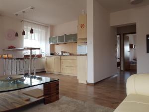 Apartament VIP Vęgoria