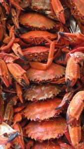 Apartamento Malpica Area Grande