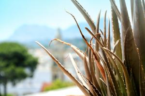 Sky-Line Apartments Rhodes Greece