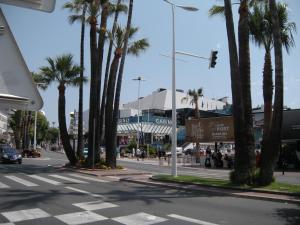 Appartements Nature 2 pieces 3 etoiles calme plein centre cannes 5 mn des plages et Palais : photos des chambres