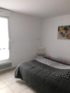 Appartements La Roseliere Appartement 2 chambres 6 couchages a 400 m de la plage : photos des chambres