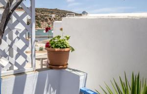 Pension Moschoula Sifnos Greece