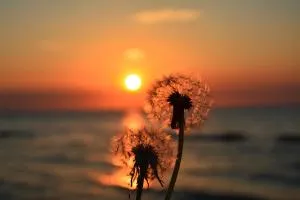 Dmuchawiec Łukęcin - Łukęcin