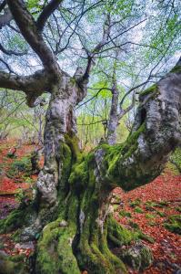 Casa Rural Entre Valles