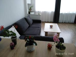 Old City LG Apartments