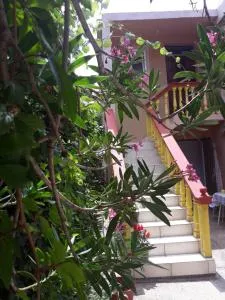 Apartman Tatjana - Brca