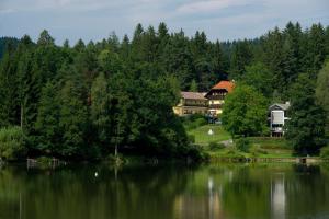 Pension Appartement Lanzer