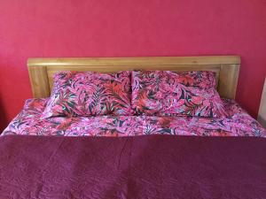 Cat Garden Domina Apartments Riga