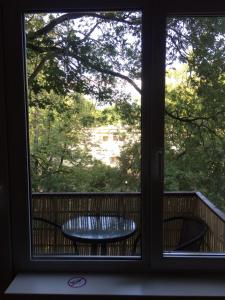 Cat Garden Domina Apartments Riga