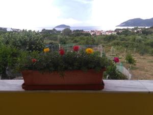 Martha's Villa Kavala Greece