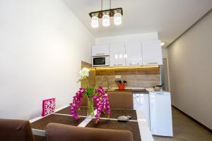 Apartment Nives in the City Center - Free Parking