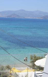 Naxian Breeze Naxos Greece