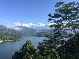 Mount Fuji Homestay