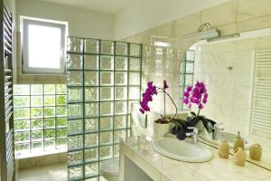 Apartments Curicta 1