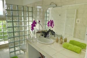 Apartments Curicta 1