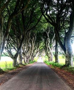 Spacious and Bright Town Centre Apartment