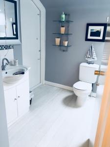 Spacious and Bright Town Centre Apartment