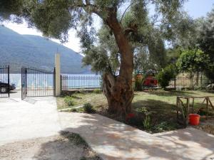 Sea Pebble Studios Lefkada Greece