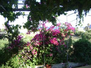 Panormitis Studios Kos Greece