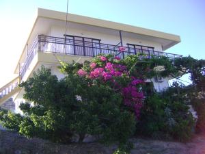 Panormitis Studios Kos Greece