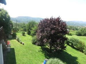 Apartma Kapitanovše