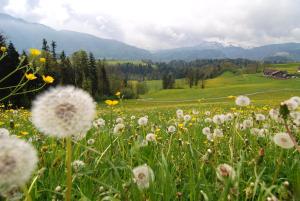 Ferienwohnung Sonnenhof