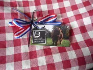 加斯特恩住宿加早餐旅馆 - 安卢