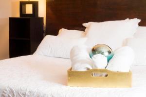 Suite 1C, Balcon, Garden House, Welcome to San Angel