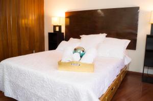 Suite 1C, Balcon, Garden House, Welcome to San Angel