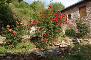 Andrea Sofi Guesthouse Arkadia Greece