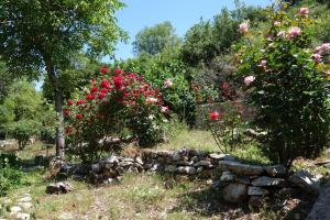 Andrea Sofi Guesthouse Arkadia Greece