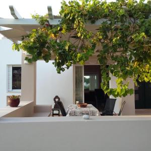 Villa Leonidas Kos Greece