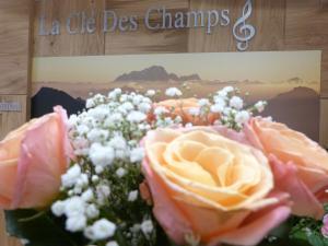 Hotels La Cle Des Champs : photos des chambres