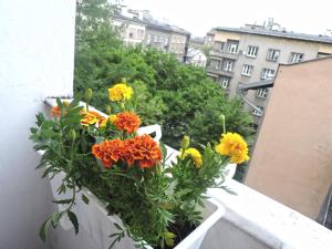 The Classic Old Town Apartment