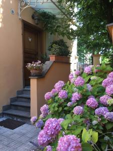 Gianicolo Pennys Garden a Roma centro