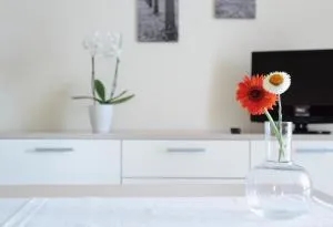 CIVICO33 - Nova Siri