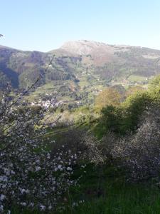 Etxeberri Landa Etxea