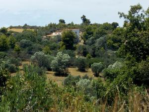 Villa Marialina Apartment Argolida Greece