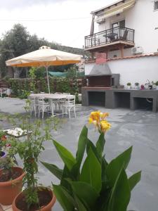 Filoxenia Apartments