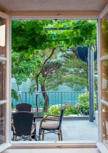 Sunny Port Apartment & Rooms