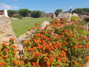 Villa Sprafundu img26