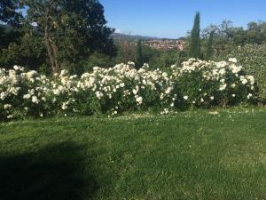 Villas Villa Le B : photos des chambres