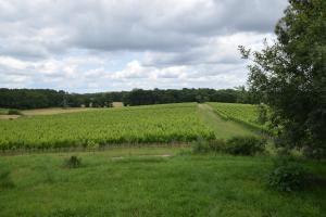 Maisons de vacances Chez Claude et Aline : photos des chambres